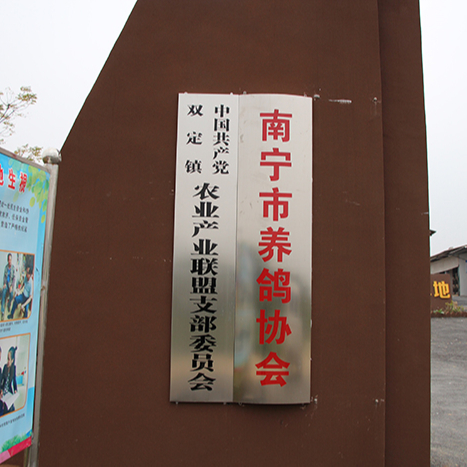 南寧市養鴿協會 南寧市養鴿協會