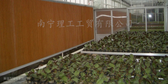 花卉大棚降溫用水簾墻，廣西水簾批發