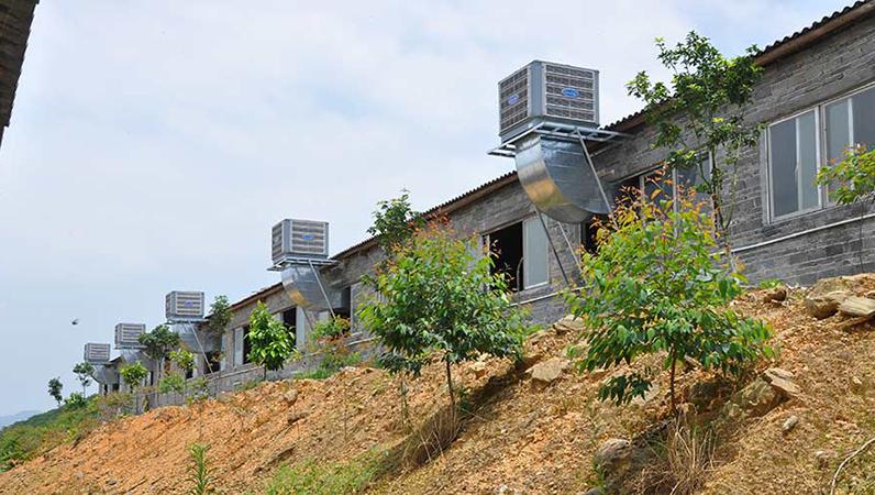 農業養殖降溫解決方案