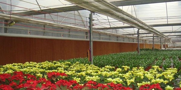 南寧大棚降溫水簾廠家[ZLG理工]一站式為您服務