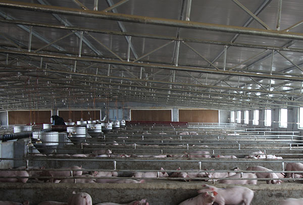 養(yǎng)殖場(chǎng)風(fēng)機(jī)水簾