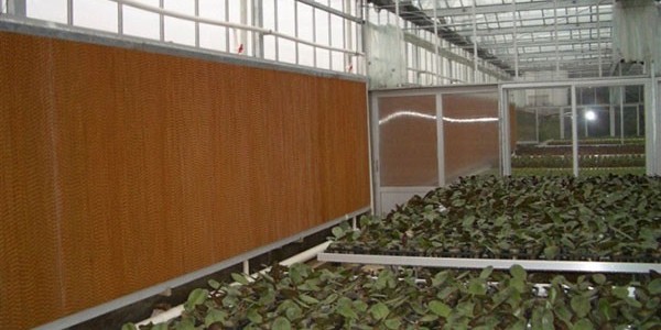 廣西大棚廠房降溫水簾廠家[ZLG理工]來電獲取報(bào)價(jià)及設(shè)計(jì)方案