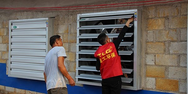 養豬場降溫水簾設備案例—反饋[ZLG理工]效果好