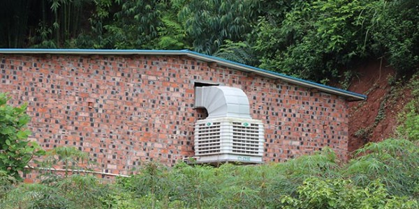 雞舍用工業冷風機效果好嗎？[ZLG理工]降溫廠家來告訴你