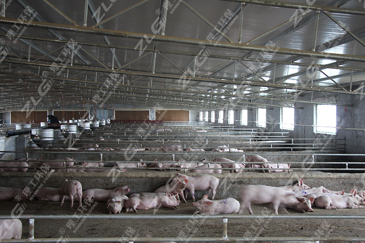 養豬場水簾降溫