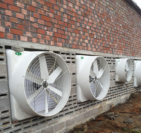 玻璃鋼負(fù)壓風(fēng)機(jī)