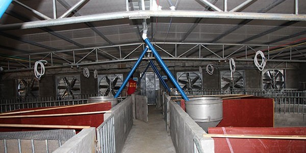 豬場降溫設備多少錢？找[ZLG理工]大廠家能買到批發價