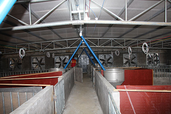 豬場降溫設備負壓風機