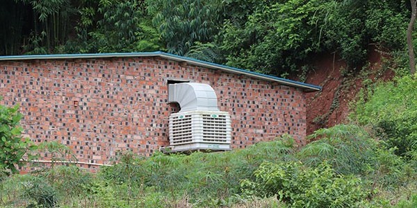 養豬場冷風機制冷效果好嗎？專業廠家[ZLG理工]來告訴您