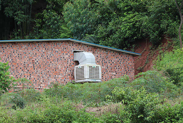 養(yǎng)殖場冷風(fēng)機(jī)