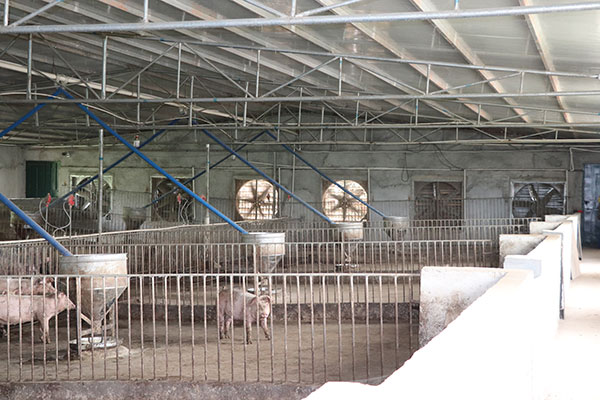 豬舍降溫設(shè)備