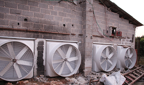 養(yǎng)殖場(chǎng)玻璃鋼負(fù)壓風(fēng)機(jī)