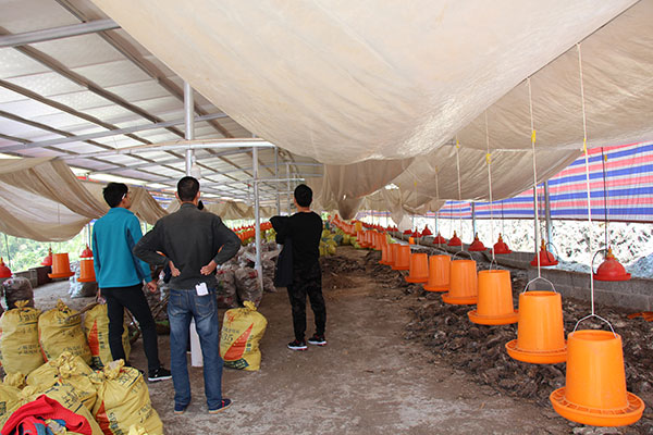 ZLG理工在討論負壓風機水簾墻設計方案