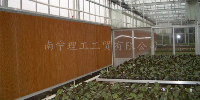 大棚水簾墻通風降溫，南寧水簾廠家批發