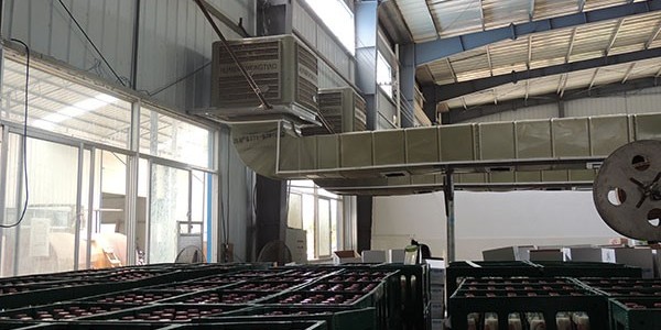 ZLG理工通風降溫設備一分鐘就可以解決廠房降溫，效果驚呆了！