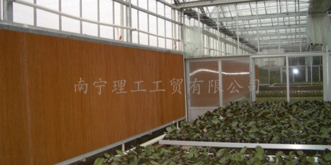大棚水簾負壓風機通風降溫，廣西水簾風機