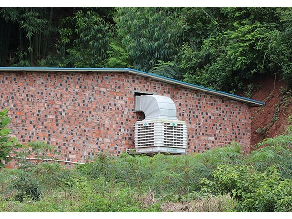 養殖冷風機廠家-安裝簡單，型號齊全[ZLG理工]