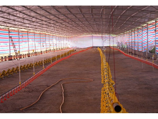 畜牧養殖冷風機廠家-請認準[ZLG理工]實力廠家